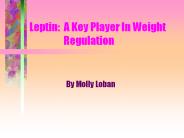 Leptin: A Key Player In Weight     Regulation