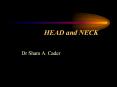 HEAD and NECK PowerPoint PPT Presentation