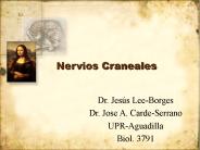 Nervios Craneales