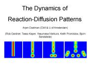 The Dynamics of