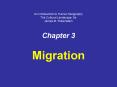 Migration PowerPoint PPT Presentation