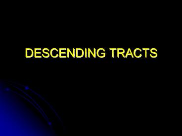 presentation player overlay