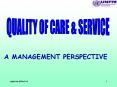 A MANAGEMENT PERSPECTIVE PowerPoint PPT Presentation