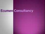 Ecommerce Consultant