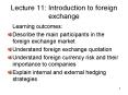 Lecture 11: Introduction to foreign exchange PowerPoint PPT Presentation