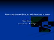 Heavy metals contribute to oxidative stress in algae