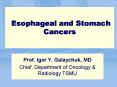Esophageal and Stomach Cancers PowerPoint PPT Presentation