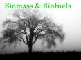 Biomass PowerPoint PPT Presentation