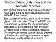 Glycoproteins, Sialylation and the Ashwell Receptor PowerPoint PPT Presentation