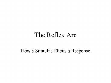 The Reflex Arc