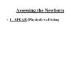 Assessing the Newborn PowerPoint PPT Presentation
