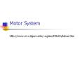 Motor System PowerPoint PPT Presentation