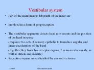 Vestibular system