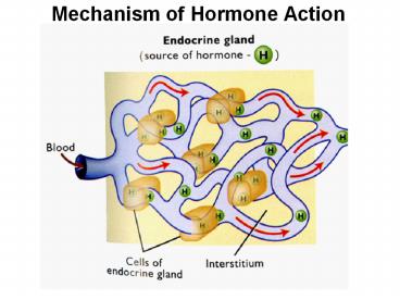 Mechanism of Hormone Action