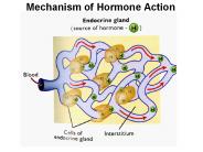 Mechanism of Hormone Action