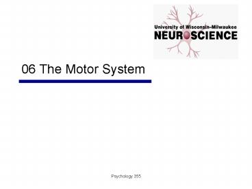 06 The Motor System