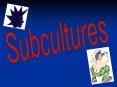 Subcultures PowerPoint PPT Presentation