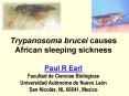 Trypanosoma brucei causes African sleeping sickness   Paul R Earl Facultad de Ciencias Biol PowerPoint PPT Presentation
