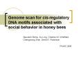 Genome scan for cis-regulatory DNA motifs associated with social behavior in honey bees PowerPoint PPT Presentation