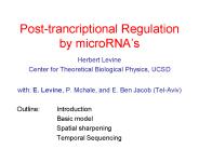 Post-trancriptional Regulation by microRNA