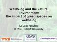 Wellbeing and the Natural Environment: the impact of green spaces on wellbeing PowerPoint PPT Presentation