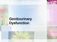 Genitourinary Dysfunction PowerPoint PPT Presentation
