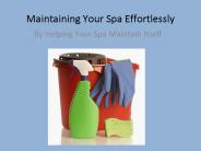 Should I worry about sebum in my spa?