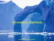 FOTOGRAFII UIMITOARE