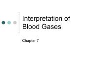 Interpretation of Blood Gases