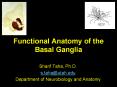 Functional Anatomy of the Basal Ganglia PowerPoint PPT Presentation