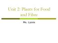 Unit 2: Plants for Food and Fibre PowerPoint PPT Presentation