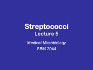 Streptococci Lecture 5