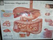 OBESIDAD Problema de Salud Mundial