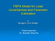 PBPK Model for Lead: Uncertainties and Parameter Estimation