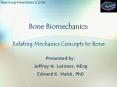 Bone Biomechanics: PowerPoint PPT Presentation