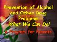 Prevention of Alcohol and Other Drug Problems PowerPoint PPT Presentation