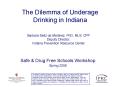 Barbara Seitz de Martinez, PhD, MLS, CPP Deputy Director, Indiana Prevention Resource Center PowerPoint PPT Presentation