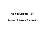 Animal Science 434