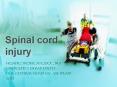 Spinal cord injury PowerPoint PPT Presentation