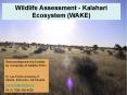Wildlife Assessment - Kalahari Ecosystem (WAKE) PowerPoint PPT Presentation