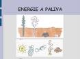 ENERGIE A PALIVA PowerPoint PPT Presentation