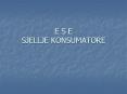 E S E SJELLJE KONSUMATORE PowerPoint PPT Presentation
