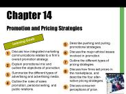 Promotion and Pricing Strategies