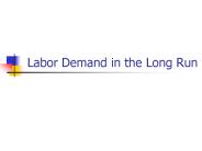 Labor Demand in the Long Run