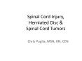 Spinal Cord Injury, Herniated Disc PowerPoint PPT Presentation