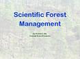 Scientific Forest Management  by Richard Latty Caswell Forest Products PowerPoint PPT Presentation