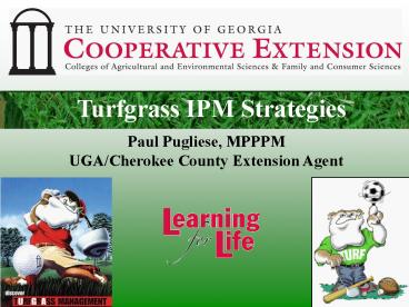 Turf Care in 10 Easy Steps!