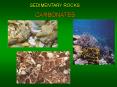 SEDIMENTARY ROCKS PowerPoint PPT Presentation