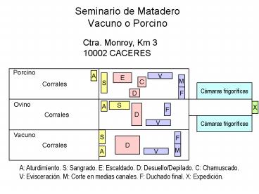 Seminario de Matadero Vacuno o Porcino