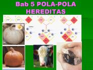 Bab 5 POLA-POLA HEREDITAS